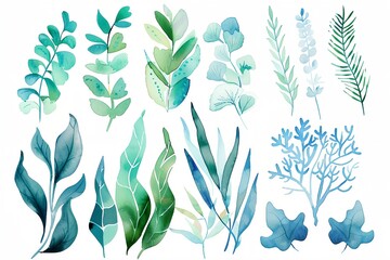 a bunch of different plants and leaves on a white background with a blue border around them and a green border around the edges