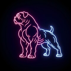 Neon Muscle Dog - obrazy, fototapety, plakaty