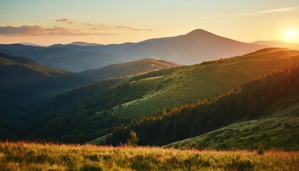 carpathian mountain range in summer at sunset landscape with forested hills and grassy meadows rolling down in to the valley in evening light travel ukraine - obrazy, fototapety, plakaty