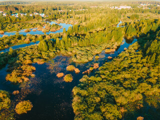 top view of the river and forest
