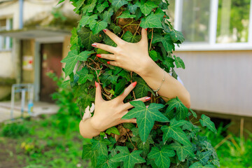 A woman is hugging a tree with green leaves