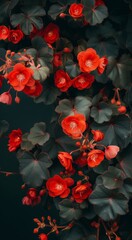 Captivating image of vibrant red begonias nestled in lush green foliage, showcasing nature's rich palette