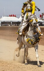 Tbourida Pageantry - The Art of Moroccan Equestrian Fashion