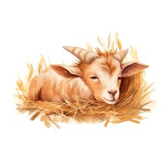 Fototapeta premium Watercolor goat sleeping animal livestock cartoon.