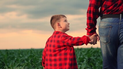 Dad and son watch sunset in vegetable field. Child holding his fathers hand in green farm field. Father kid boy go hand in hand in field of green sprouts. Agricultural industry. Growing organic food