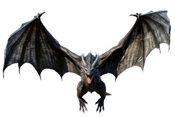 Fototapeta premium Black dragon wildlife animal wing.