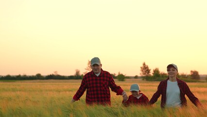 Mom dad child boy run, walk hand in hand. Slow motion. Happy family of farmers with child, are walking run on wheat field. Happy mother, father and little son enjoying nature together, outdoor, sun
