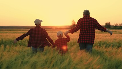 Happy family of farmers playing running in wheat field at sunset. Mom, dad, baby, holding hands, runs through field of green wheat. Family fun outdoors. Mother, father child have fun playing in nature