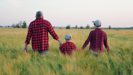 Fototapeta premium Mom, dad, baby, holding hands, runs through field of green wheat. Family fun outdoors. Happy family of farmers playing running in wheat field at sunset. Mother, father child have fun playing in nature