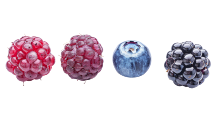 Wild Berries mix, raspberry, blueberry, blackberry