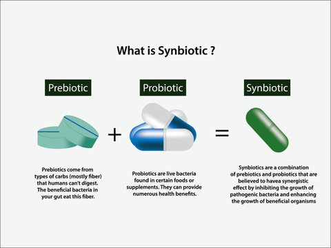 Synbiotics, Illustration of Synbiotic, a combination of probiotics and prebiotics. Living organism. Bacteria. Vector