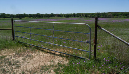 Fototapeta na wymiar A modern metal gate and barbed wire fence keeps out unwanted visitors to this Texas Hill Country field full of wildflowers.
