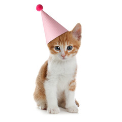 Cute little kitten with party hat on white background