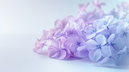 Dreamy hues of lilac and baby blue merging softly on a canvas of clean white