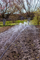Watering and applying liquid fertilizers to plowed soil using an automatic irrigation system in spring. Vertical. Irrigation Equipment. Automated watering system, irrigation system.