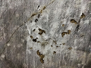 abstract photo of a faded wall