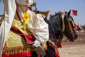 Equestrian Majesty in Morocco - Traditional Tbourida Attire in Detail