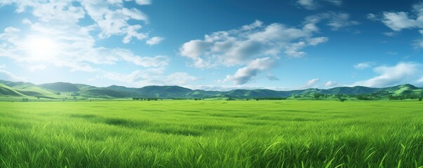 View of a wide green meadow with a clear sky in the background