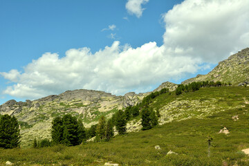 A gentle slope of a high hill overgrown with thick grass and sparse trees, surrounded by mountain peaks on a cloudy summer day.