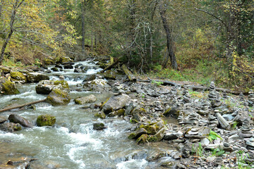 The stormy flow of a small but swift river flowing from the mountains through the autumn morning...