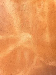 Coffee leather texture vertical background