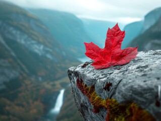 Red maple leaf on a rocky ledge overlooking a misty valley