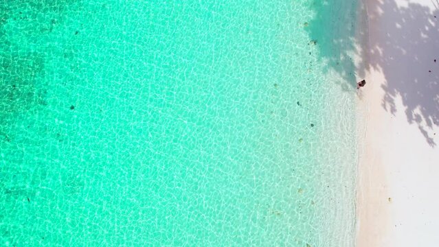 The patterns of the green grass create a vibrant contrast with the liquid magenta circles on the peach sand. An expanse of vibrant turquoise waters merges with a pristine beach. Aerial view