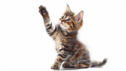 playful kitten giving an enthusiastic high five isolated on white background digital painting