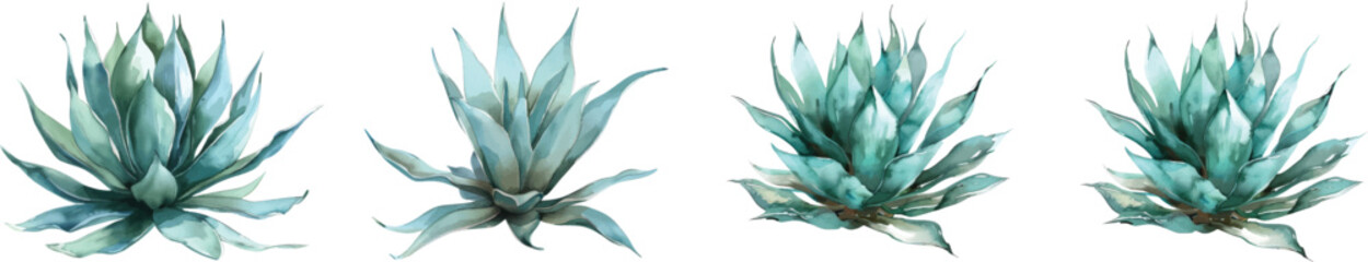 3d illustration Set of Agave shawii x attenuata tree isolated on transparent background