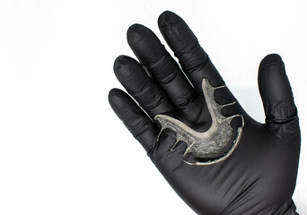 Hawley retainer for orthodontics in technician's hand. orthodontics and orthopedics concept. isolated on white background with copy space