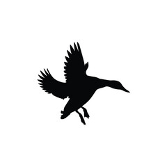 Duck Silhouette Flat Icon