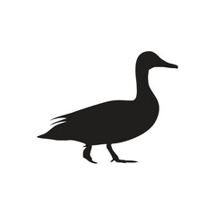 Duck Silhouette Flat Icon