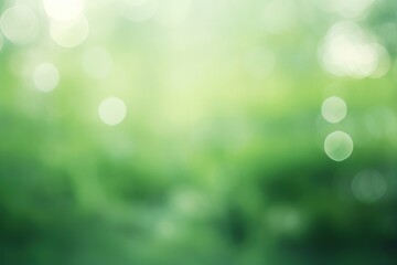 Obraz premium Bokeh Green nature background green backgrounds sunlight.