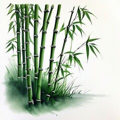 Fototapeta premium Bamboo forest, Bamboo plants in garden