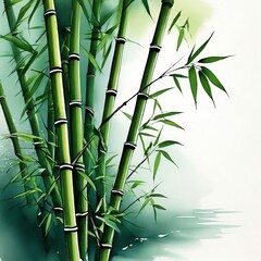 Bamboo forest, Bamboo plants in garden