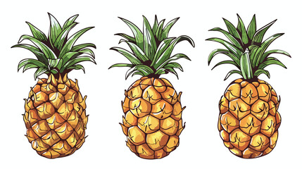 tropical pineapple nutrition fresh natural summer diet