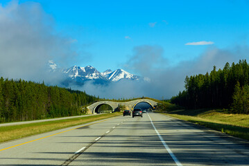 Animal Crossing over the Highway in Banff National Park, Alberta, Canada