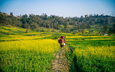 couple walking in the countryside