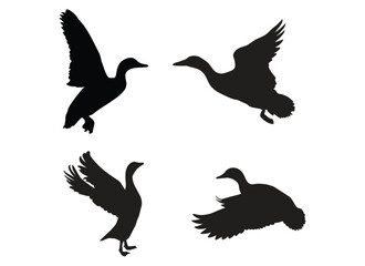 set of silhouettes of duck illustration vector
