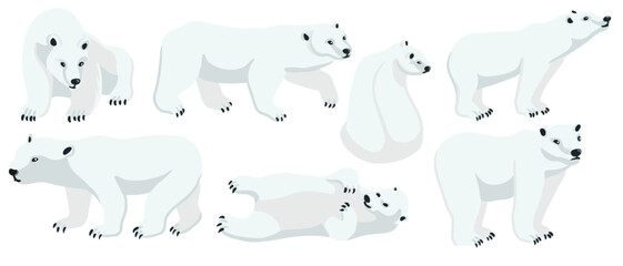 vector drawing polar bears, cartoon animals isolated at white background, hand drawn illustration