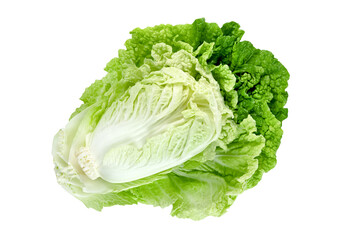 Fresh chinese cabbage leaf isolated. Green leaves pattern
