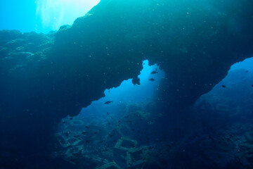 Fototapeta premium ダイナミックな三つ又アーチとスキューバダイバーたち。 有名なダイビングスポットで、八丈富士の火山溶岩が湾内に流れ込み、この不思議な造形になった。スキンダイビングポイントの底土海水浴場。 航路の終点、太平洋の大きな孤島、八丈島。 東京都伊豆諸島。 2020年2月22日水中撮影。Dynamic three-pronged arch and scuba divers. It is a famou