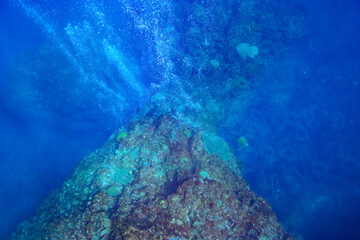 巨大なサンゴ群生を泳ぐスキューバダイバーたちとバブル。

スキンダイビングポイントの底土海水浴場。
航路の終点、太平洋の大きな孤島、八丈島。
東京都伊豆諸島。
2020年2月22日水中撮影。

Scuba divers and bubbles swimming in a huge coral colony.

Sokodo Beach, a skin diving point.
Izu Islan