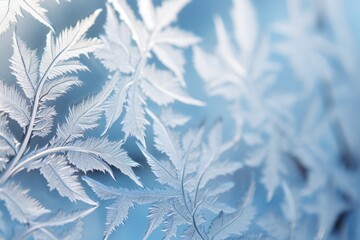 a close up of frost on a window