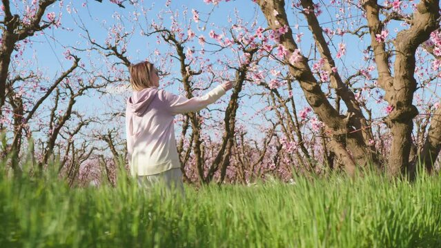 Young caucasian woman in casual outfit touches almond tree branches on early morning. Spectacular blooming orchards on a journey within Californian countryside. High quality 4k footage