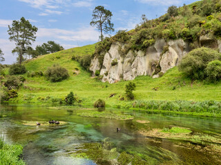 Waihou River, Blue Spring,Waikato, New Zealand