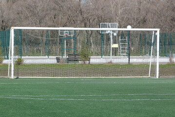 soccer field and goal