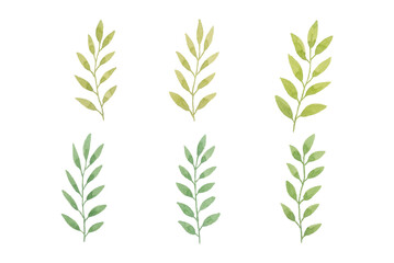 Watercolor leaves illustration set - green leaf branches collection for wedding, greetings, stationary, wallpapers, fashion, background. olive, green leaves, Eucalyptus etc