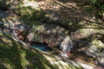 Obraz premium 八丈町天然記念物、こん沢林道甌穴群（ポットホール） 三原山の中腹にあるジャングル地帯。 沢沿いに貴重なポットホール（岩盤を流れる水路にできる穴（くぼみ））地帯、こん沢林道甌穴群がある。 この場所の規模ほどのものは大変貴重で、八丈町の天然記念物に指定されている。散策路は登山道になっているため、登山の装備が必要。 また、雨天時には水量が増すため危険である。航路の終点、太平洋の大きな孤島、八丈島