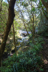 八丈町天然記念物、こん沢林道甌穴群（ポットホール）
三原山の中腹にあるジャングル地帯。
沢沿いに貴重なポットホール（岩盤を流れる水路にできる穴（くぼみ））地帯、こん沢林道甌穴群がある。
この場所の規模ほどのものは大変貴重で、八丈町の天然記念物に指定されている。

散策路は登山道になっているため、登山の装備が必要。
また、雨天時には水量が増すため危険である。

航路の終点、太平洋の大きな孤島、八丈島